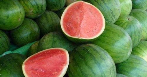 吃瓜咋回复,吃瓜群众如何巧妙回应网络热议